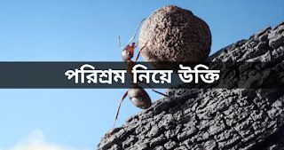 পরিশ্রম নিয়ে উক্তি